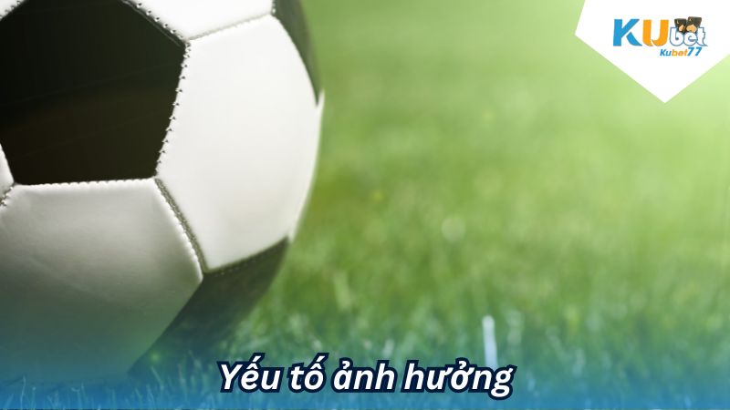 Yếu tố ảnh hưởng