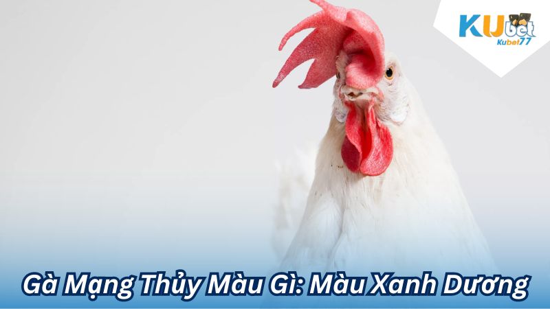 ga mang thuy mau gi 3