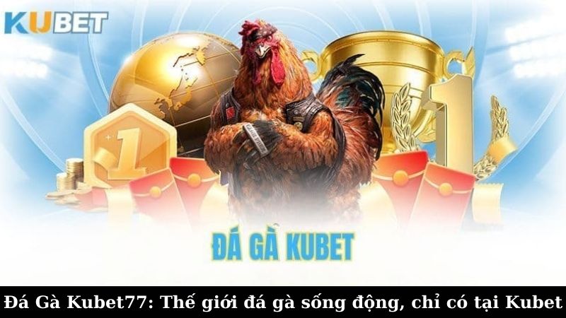 Nền tảng cá cược đá gà Kubet77 uy tín