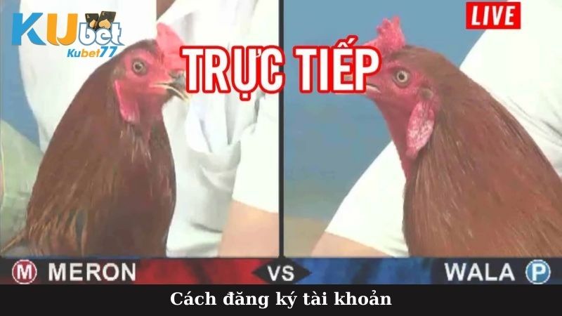 Cách đăng ký tài khoản