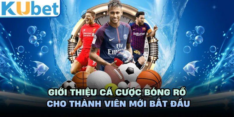 Giới thiệu cá cược bóng rổ cho thành viên mới bắt đầu